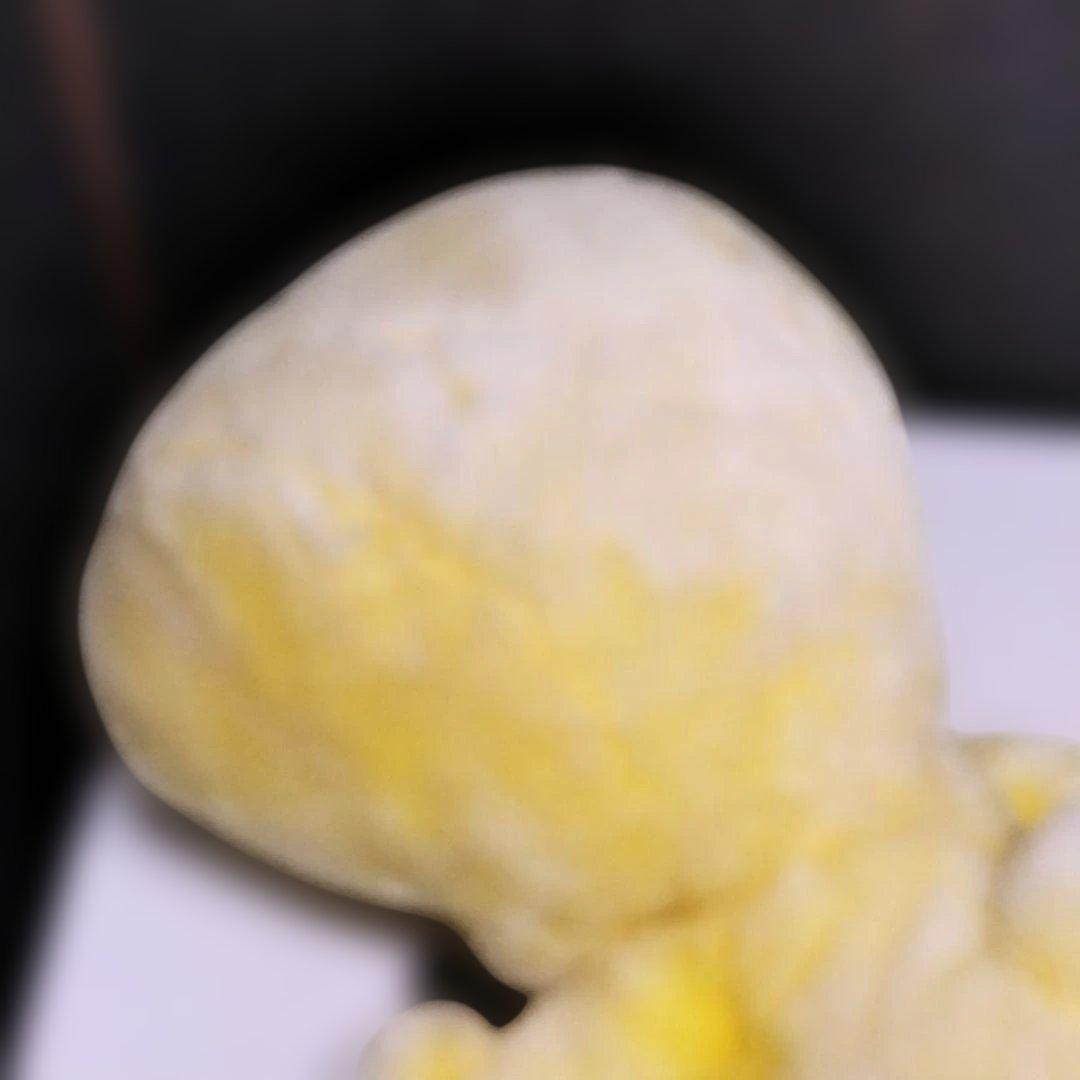 ワーナーブラザーズ　ストアー　トゥイーティー　特大ぬいぐるみ 　約60cm　希少