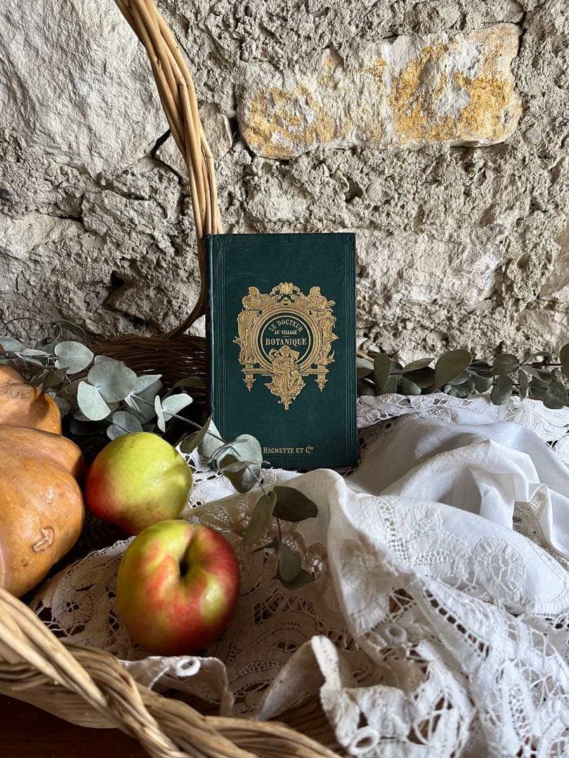 ◆フランスアンティーク｜激レア直筆サイン古書植物草花挿絵19s金彩エンボスハード