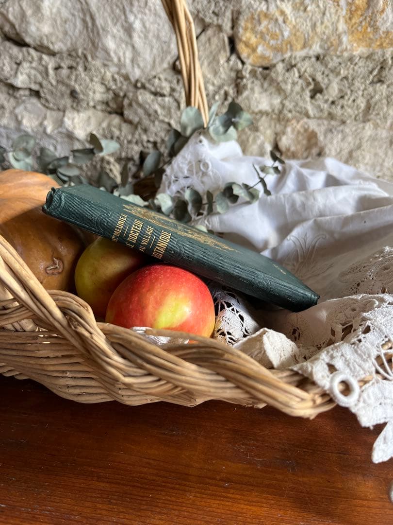 ◆フランスアンティーク｜激レア直筆サイン古書植物草花挿絵19s金彩エンボスハード