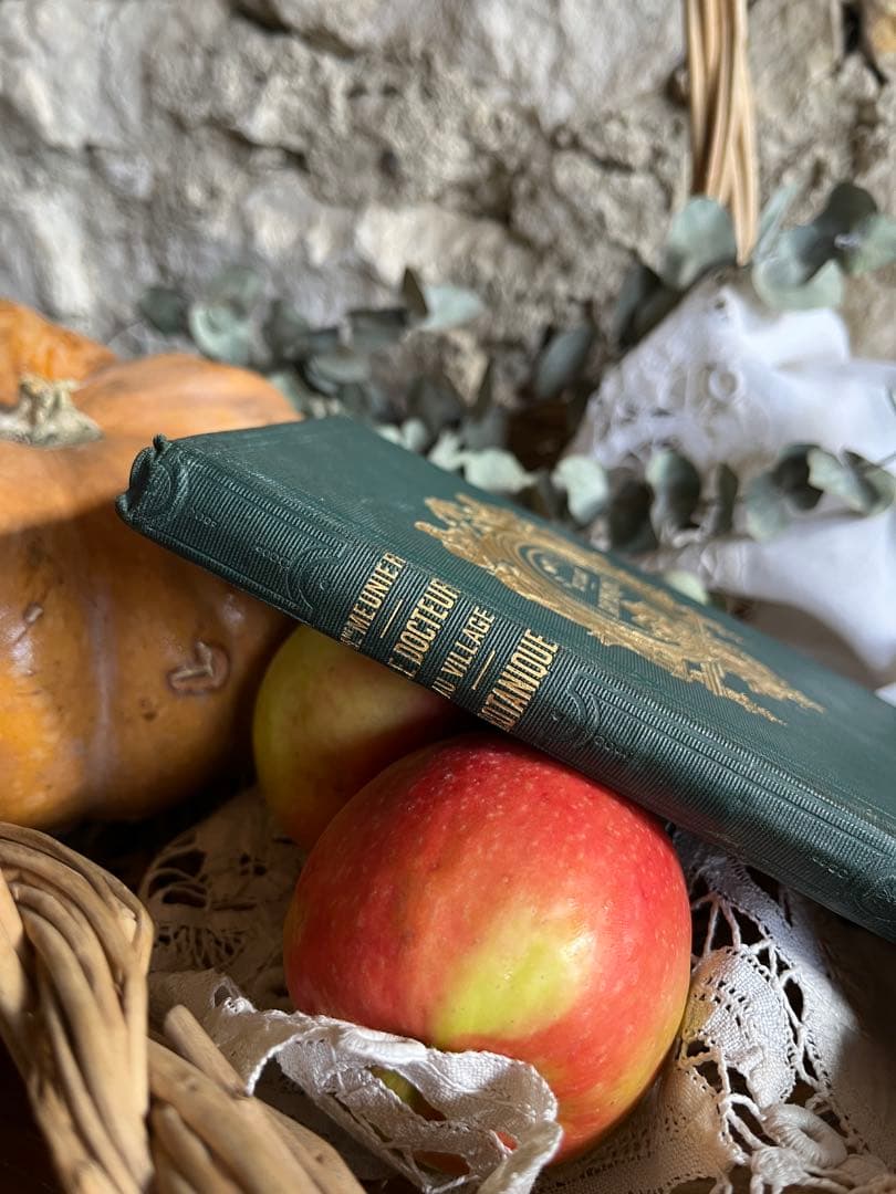 ◆フランスアンティーク｜激レア直筆サイン古書植物草花挿絵19s金彩エンボスハード