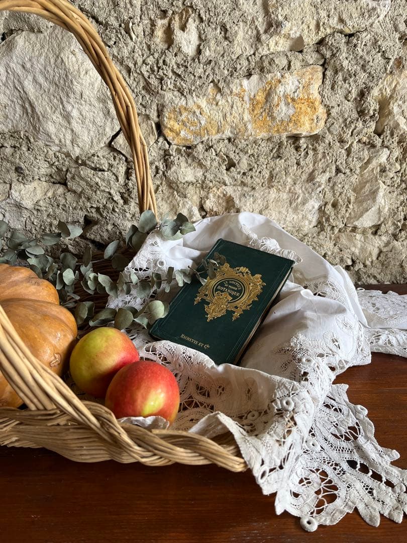 ◆フランスアンティーク｜激レア直筆サイン古書植物草花挿絵19s金彩エンボスハード