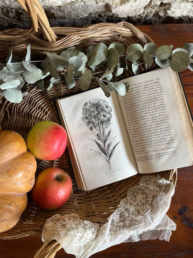 ◆フランスアンティーク｜激レア直筆サイン古書植物草花挿絵19s金彩エンボスハード