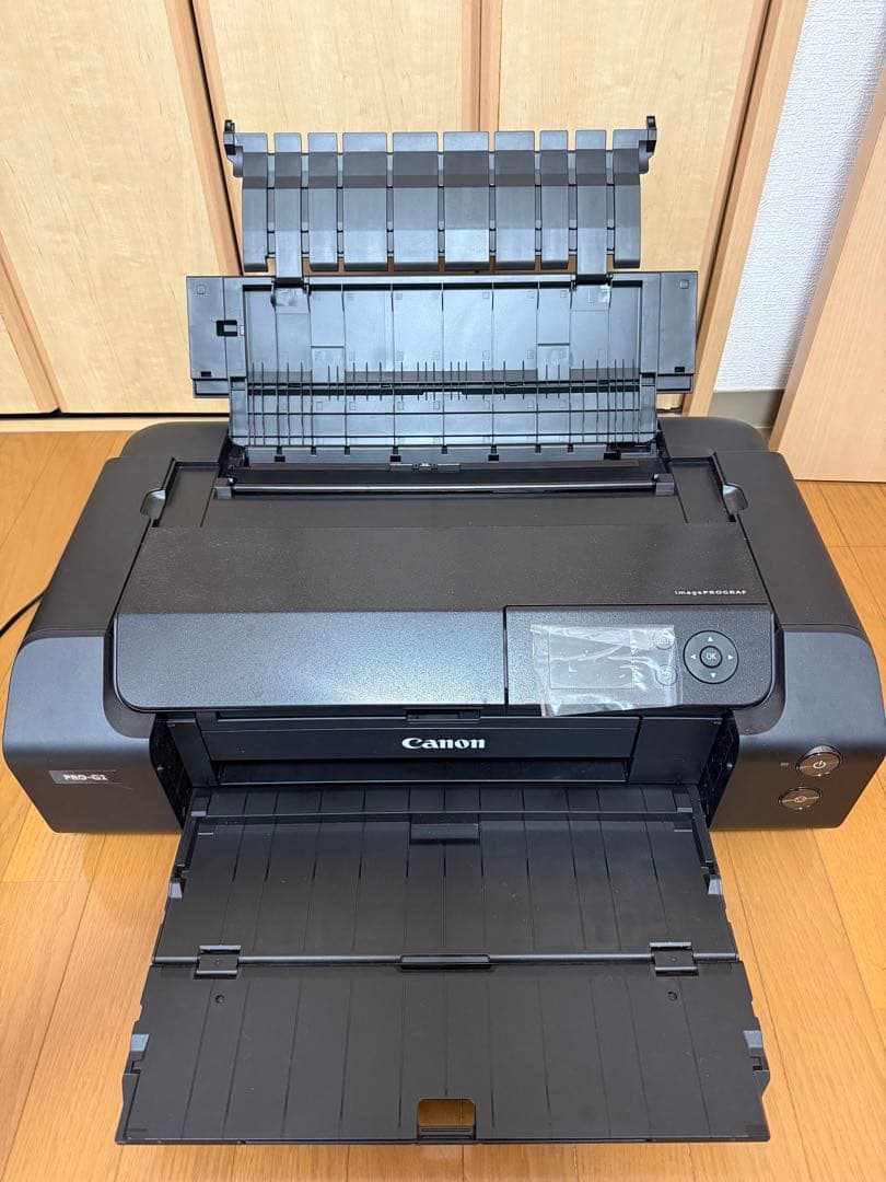 Canon PRO-G1 ジャンク品