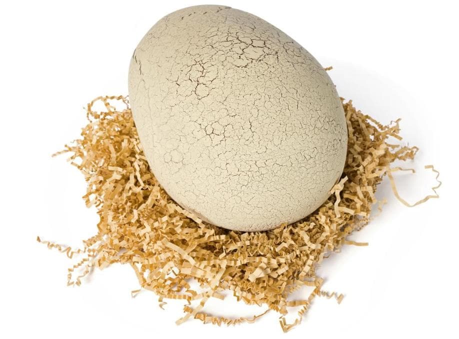 【新品】うまれて! ウーモ ジュラシック・ワールド T-レックスエッグ