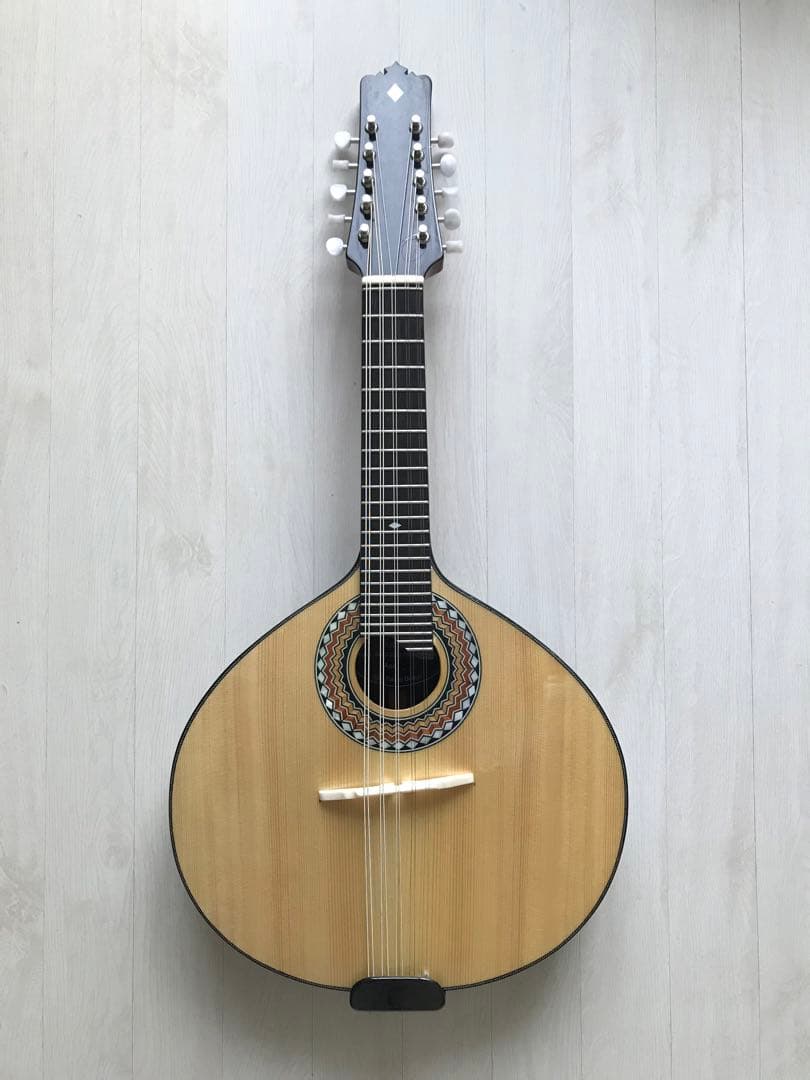 10弦バンドリン(マンドリン)