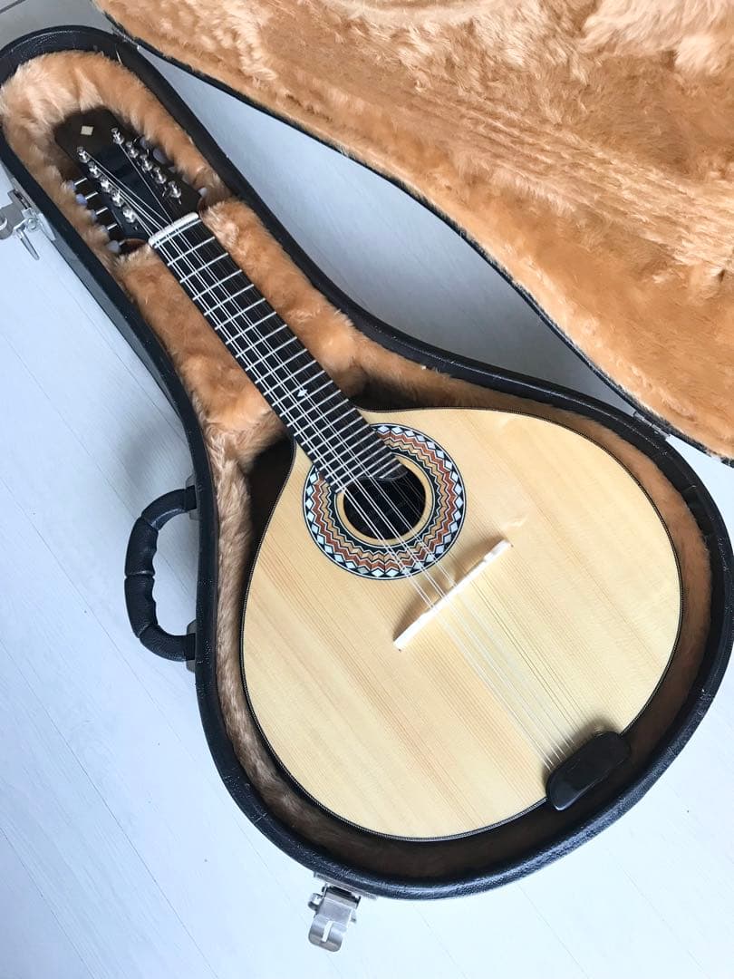 10弦バンドリン(マンドリン)