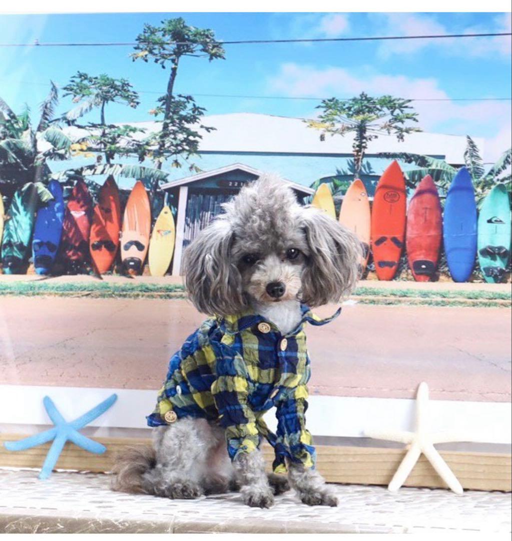 アトリエgg ブルーアイランド　シャツ　サイズ3ハーフ　AtelierGG