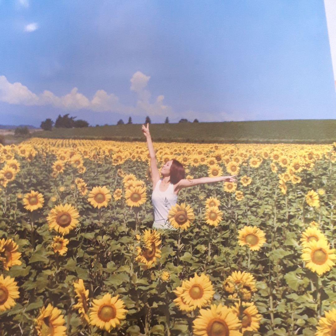 愛内里菜さん、垣内りかさん、ポスターset、