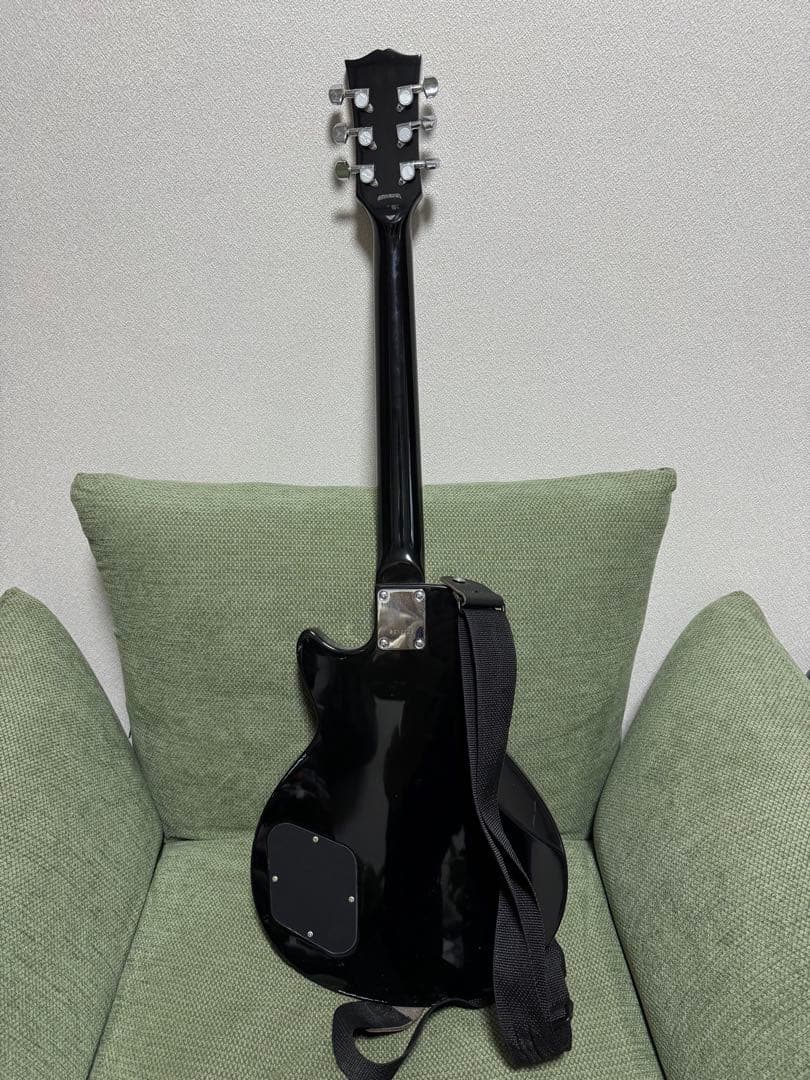 Grass Roots エレキギター 紫/黒