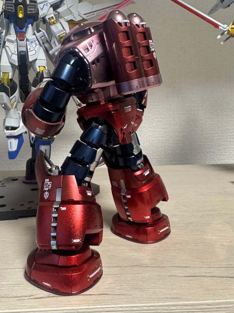 RG MS-06F シャア専用ズゴック塗装済み完成品