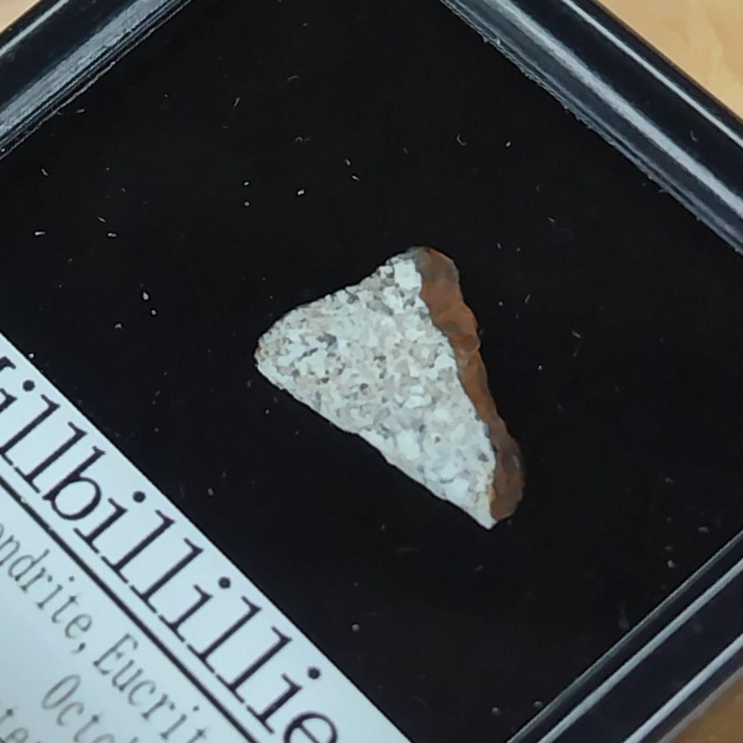 ⭐見る！?ミルビリリー隕石 標本