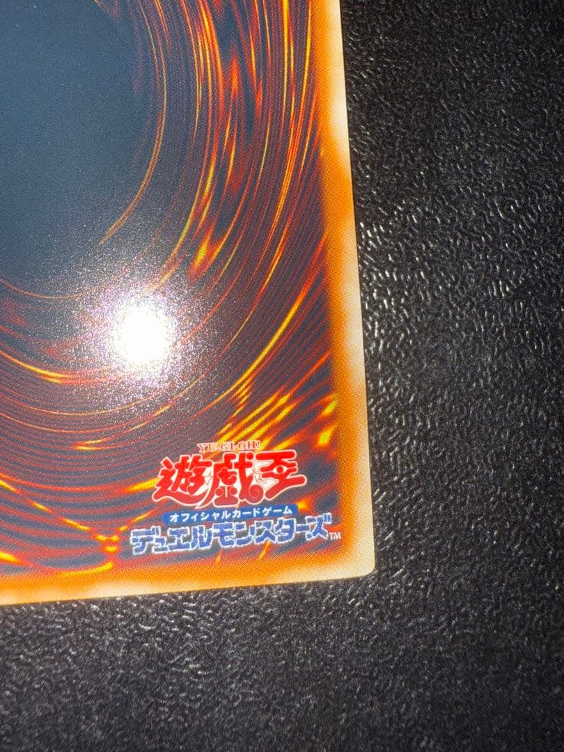 遊戯王　ブラックローズドラゴン　ホログラフィック