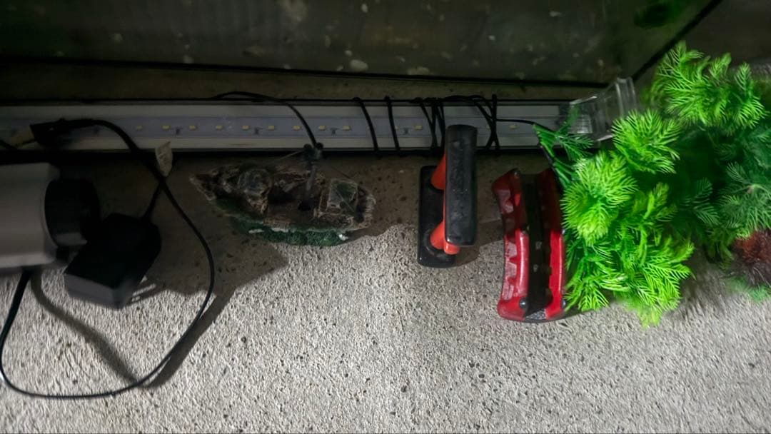 60cm水槽　外部フィルター　引き取り限定