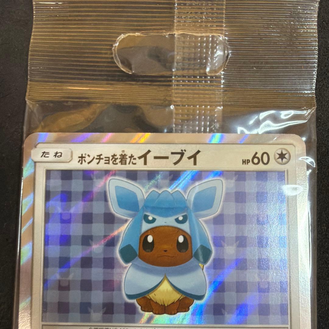 ポンチョを着たイーブイ　グレイシア　未開封