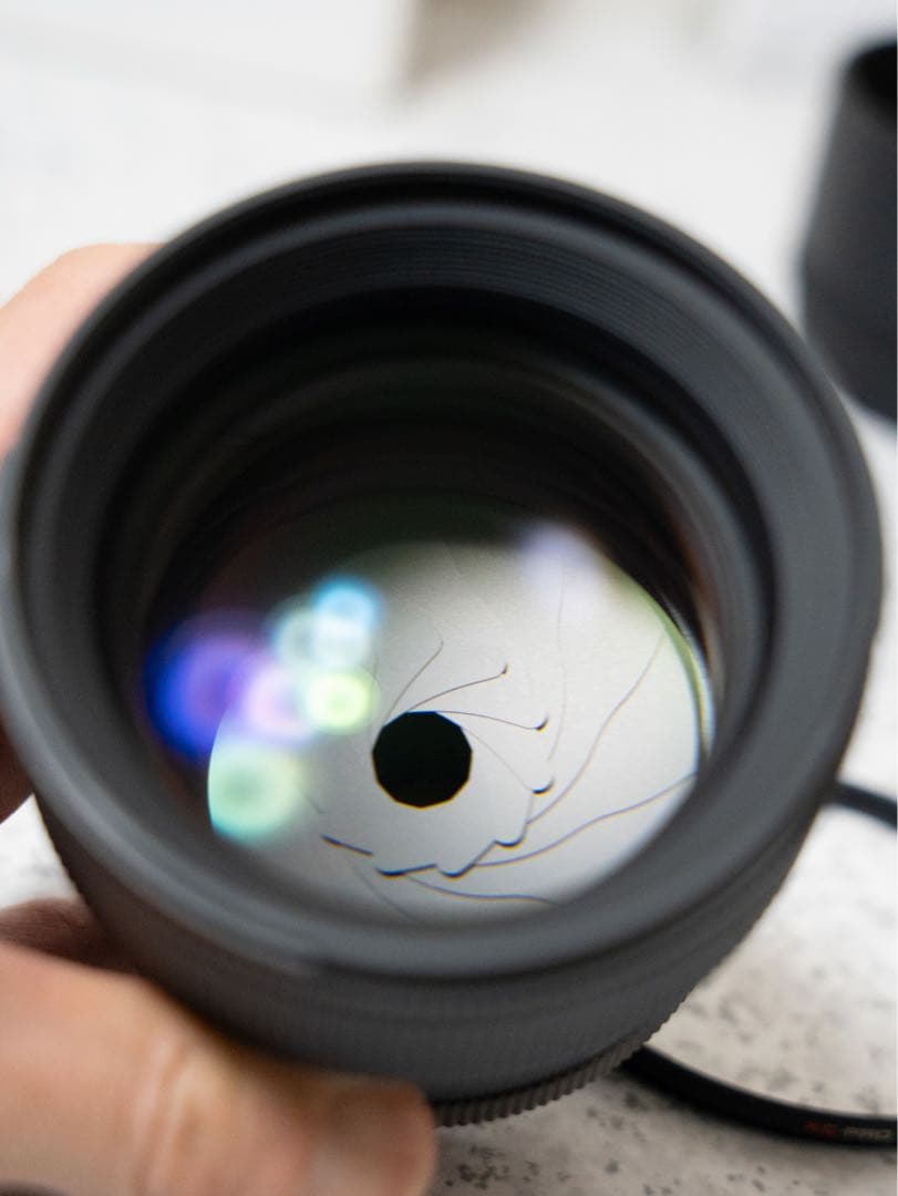 SIGMA 85mm F1.4 DG DN Artレンズ