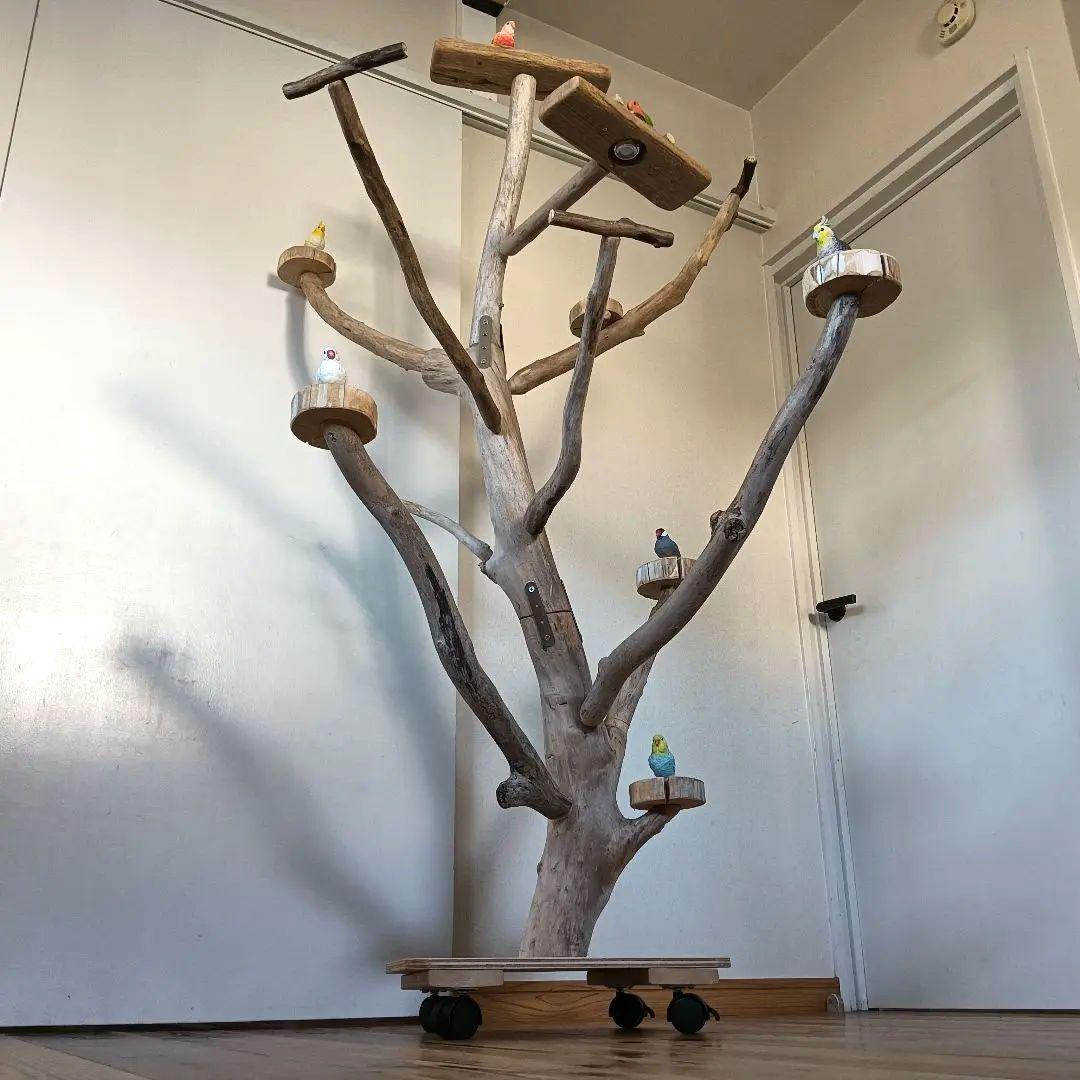 バードアスレチックジム 大型 ⑪ 天然木 自然木 流木 インコ おもちゃ