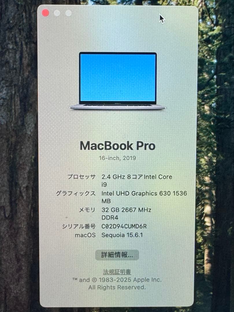 【ジャンク】MacBook Pro 2019 16inch 32GB 512GB