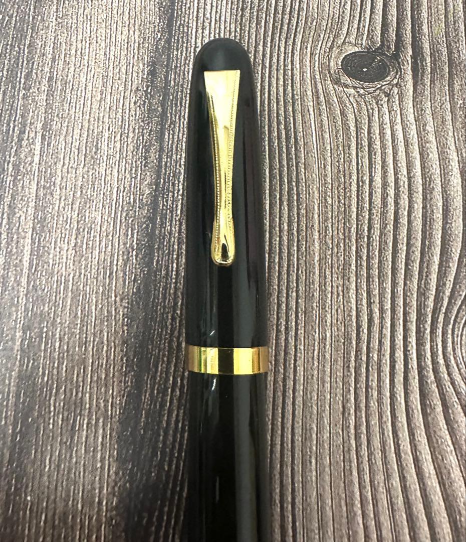 WARRANTED ワランテッド イリドスミン 万年筆 14K