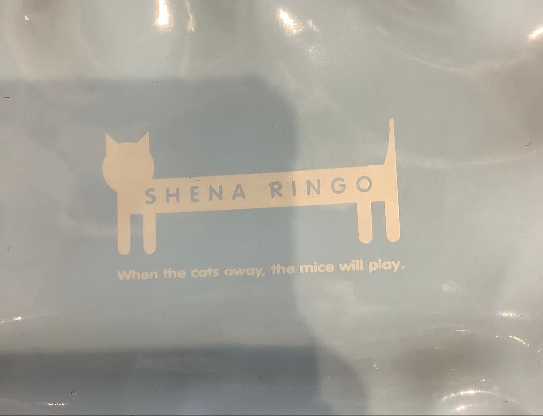 【レア】椎名林檎　デビュー前　風雲ディストネーション　バッグ