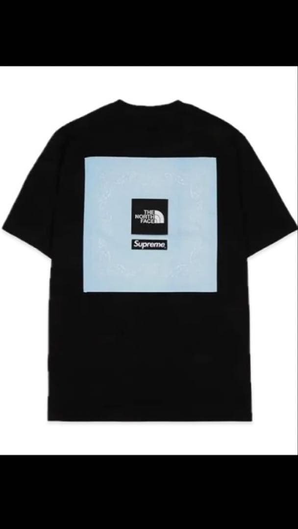 トップス Supreme x The North Face Bandana Tee