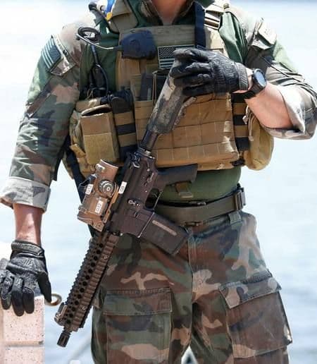 【実物】エルカン　ELCAN specterDR　SU-230/PVS