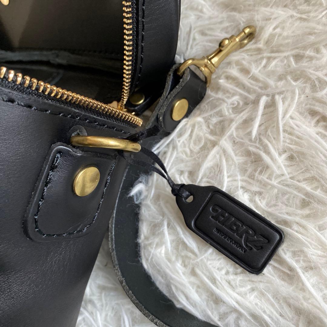 はぬえる　断捨離中HERZ ショルダーバッグ　カメラバッグ　ハードギャジ