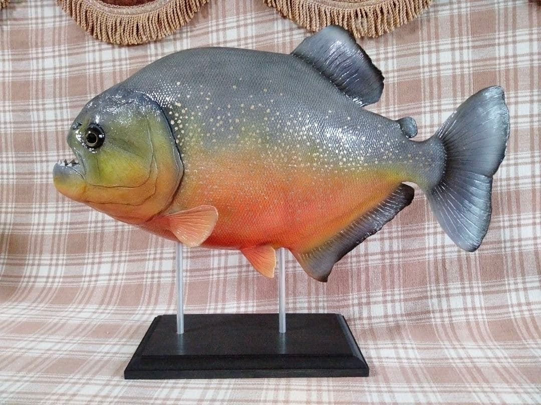 ハンドメイド38cmピラニア　オレンジ　フィギュア　レプリカ　熱帯魚　模型