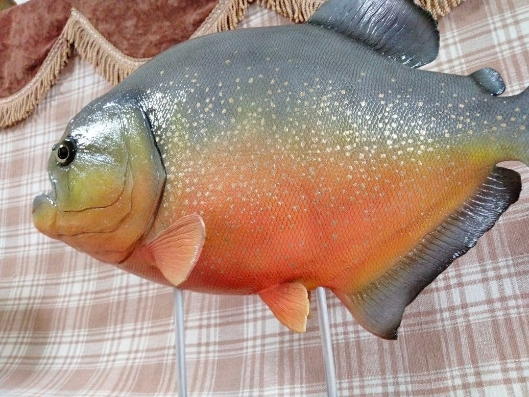 ハンドメイド38cmピラニア　オレンジ　フィギュア　レプリカ　熱帯魚　模型