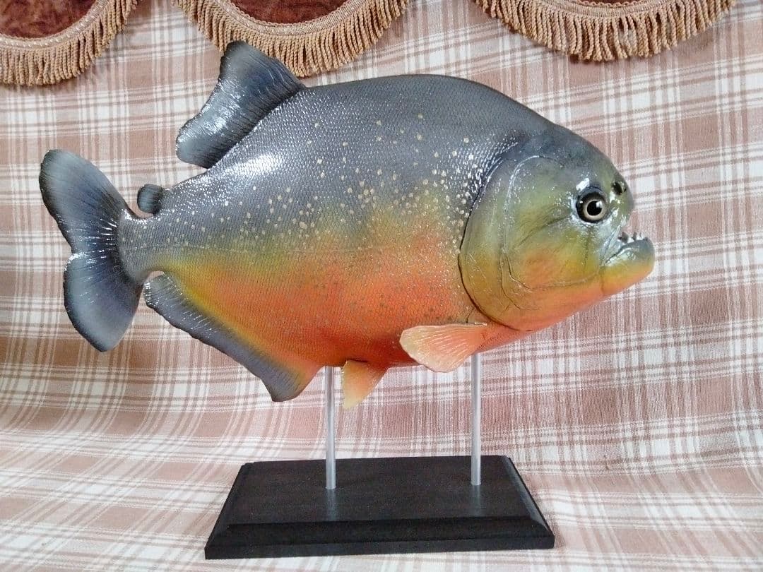 ハンドメイド38cmピラニア　オレンジ　フィギュア　レプリカ　熱帯魚　模型