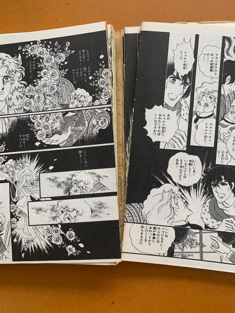 少女漫画『オルフェウスの窓』池田理代子　全18巻セット