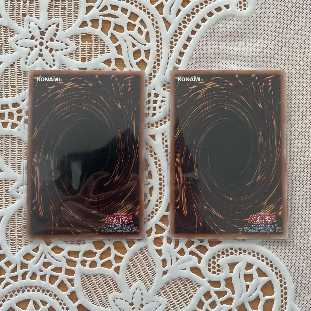 DDスケールサーベイヤー 赤シク 2枚セット