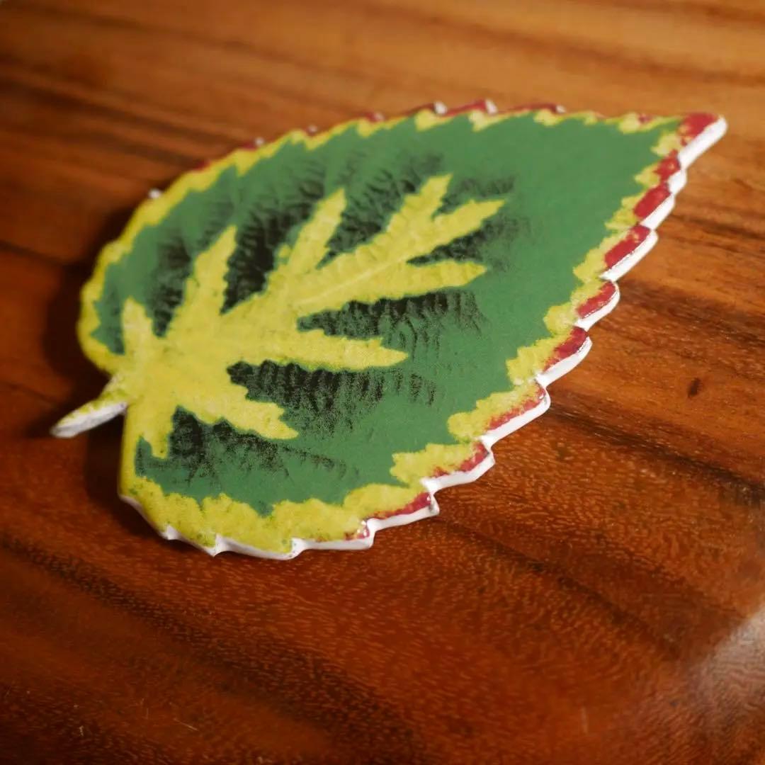 ジョンデリアン & アスティエ・ド・ヴィラット リーフプレート