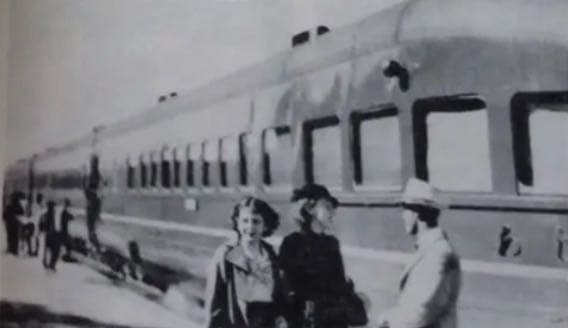 フリード君優遇有り 復刻風 特急用 筆字吊下サボ 琺瑯板