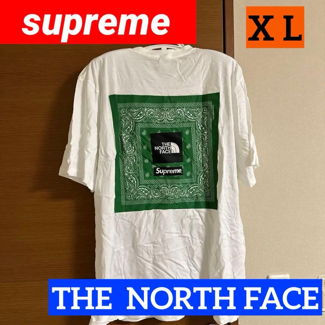 新品未使用タグ無しsupreme THE NORTH FACE 即日発送