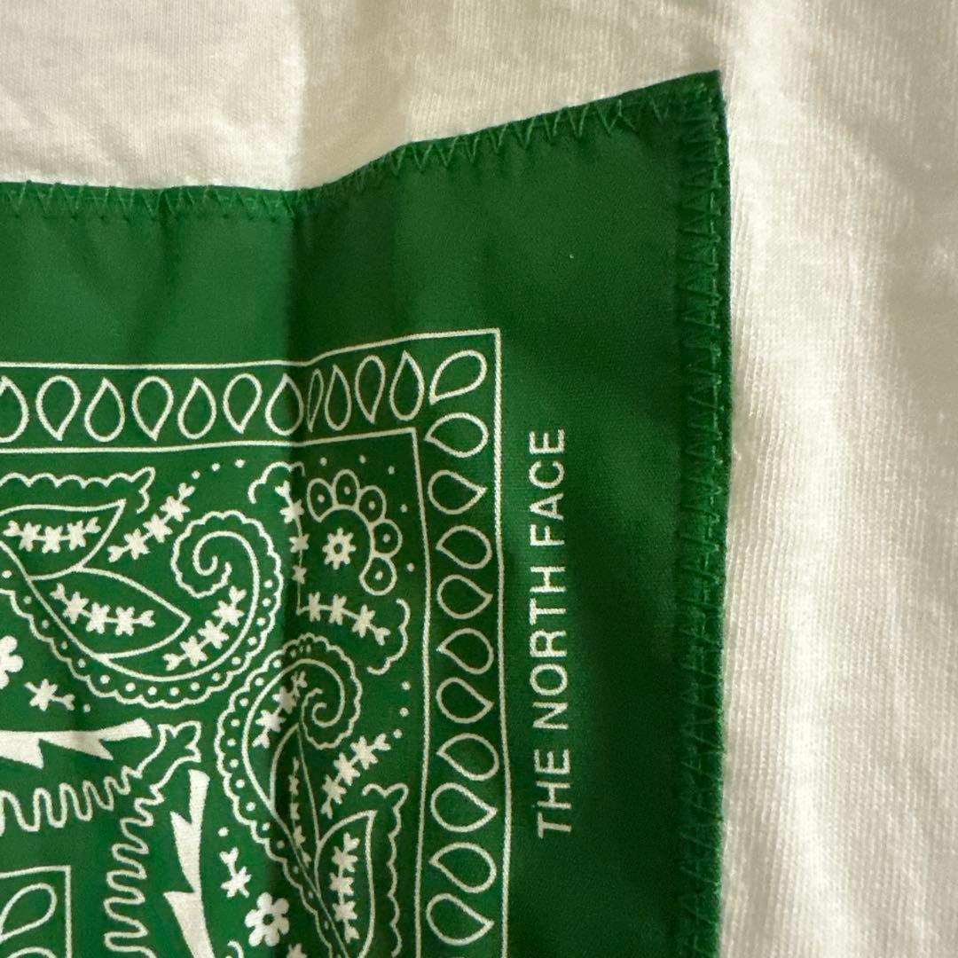 新品未使用タグ無しsupreme THE NORTH FACE 即日発送
