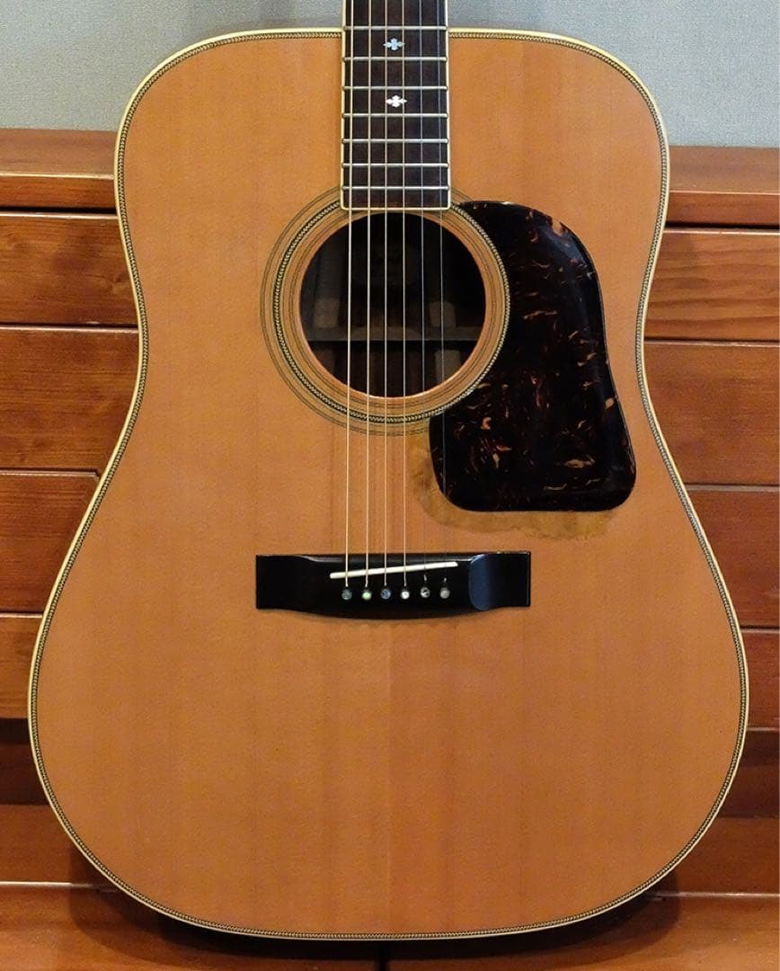 Jagard JG-35 寺田楽器 爆鳴り ジャパンビンテージ