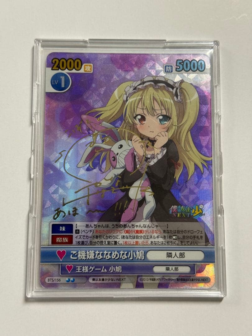 ヴィクトリースパーク　サイン　ご機嫌ななめな小鳩　VS SP