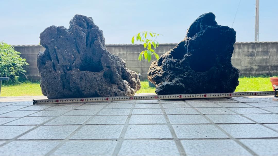 ADA 雲山石 特寸サイズ 2個セット