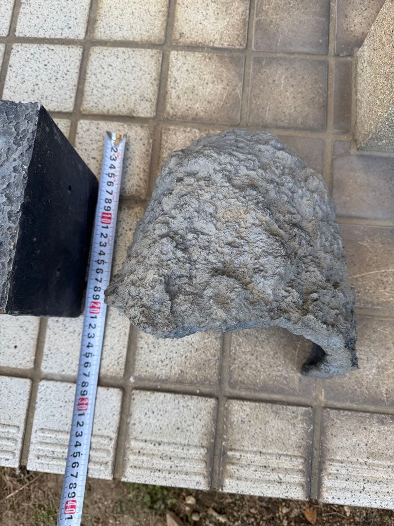 トカゲ　洞窟　隠れ家2個セット