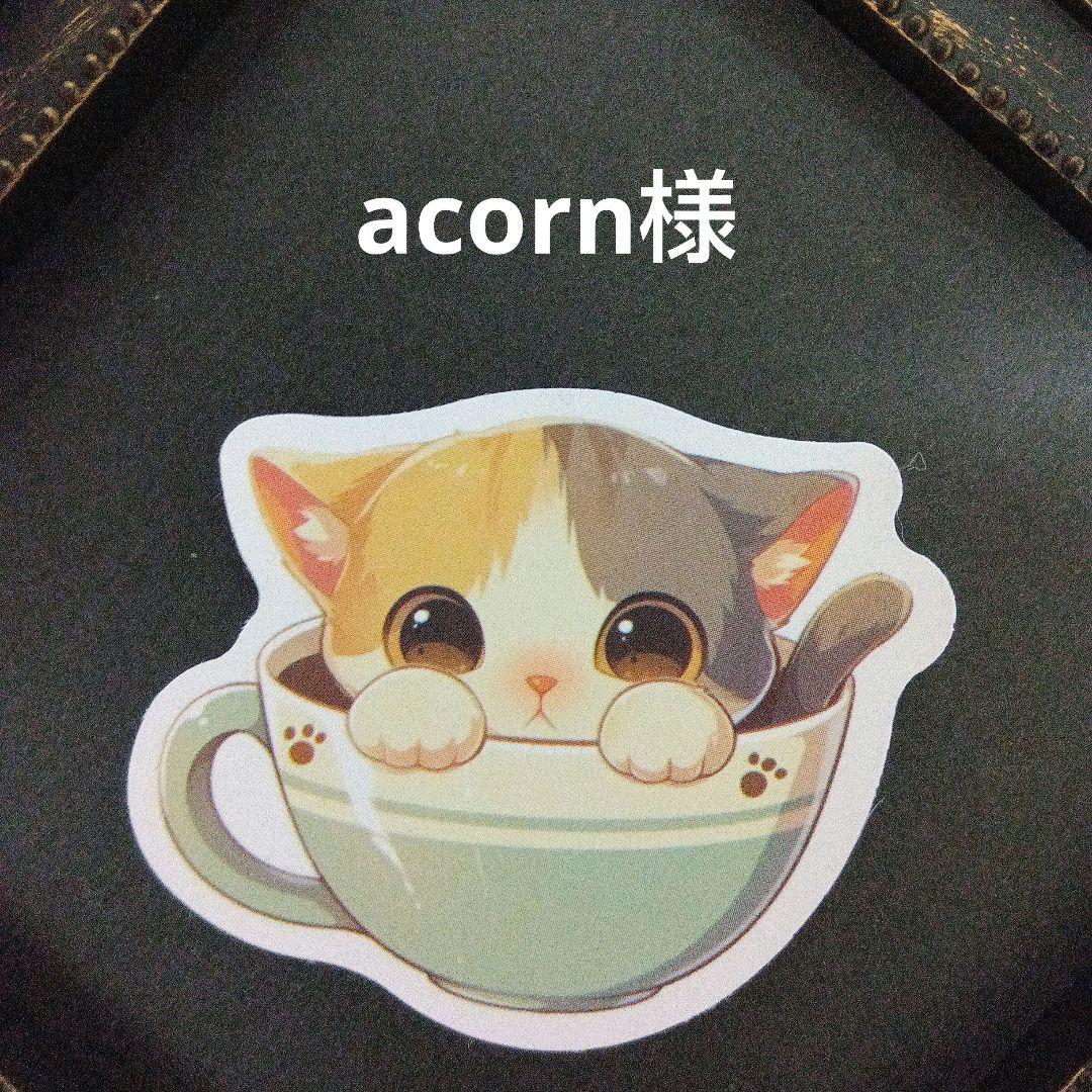 acorn様°・*:.。.☆