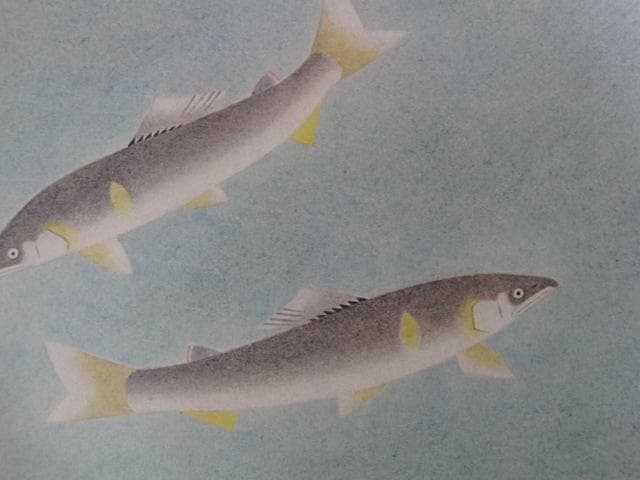 福田平八郎、【鮎】、希少な大判額装用画集より、新品高級額装付、豪華限定版