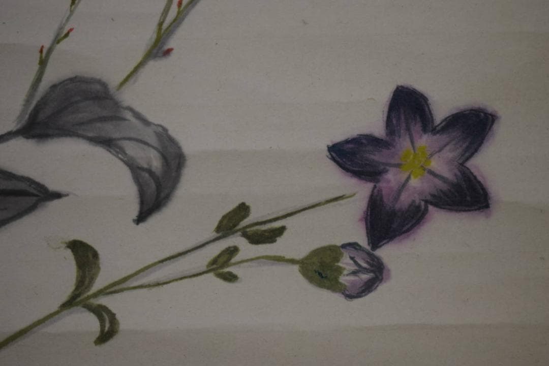 不詳/作者不詳/桔梗画賛/秋風や・・・/横物/花/布袋屋掛軸HK-34