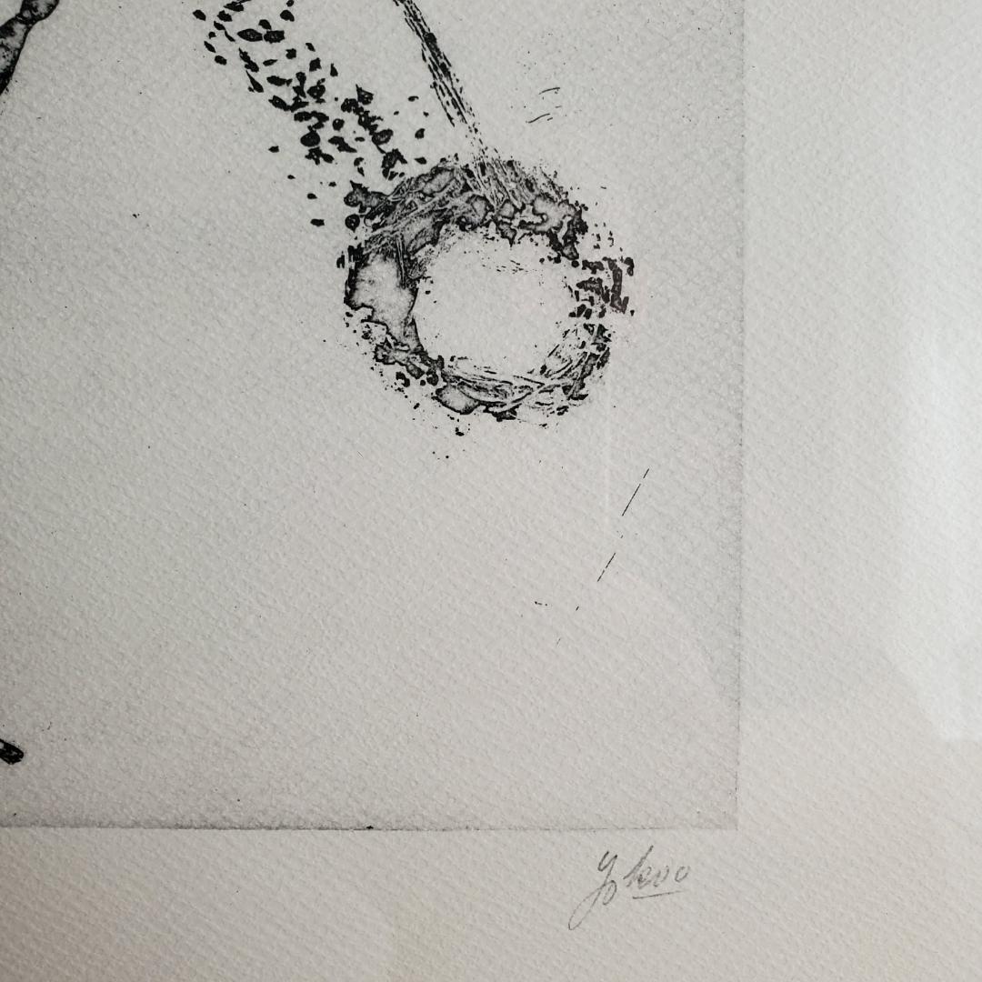 横尾忠則 リトグラフ 夢シリーズ 二人の私 銅版画 直筆サイン 限定20部 額装