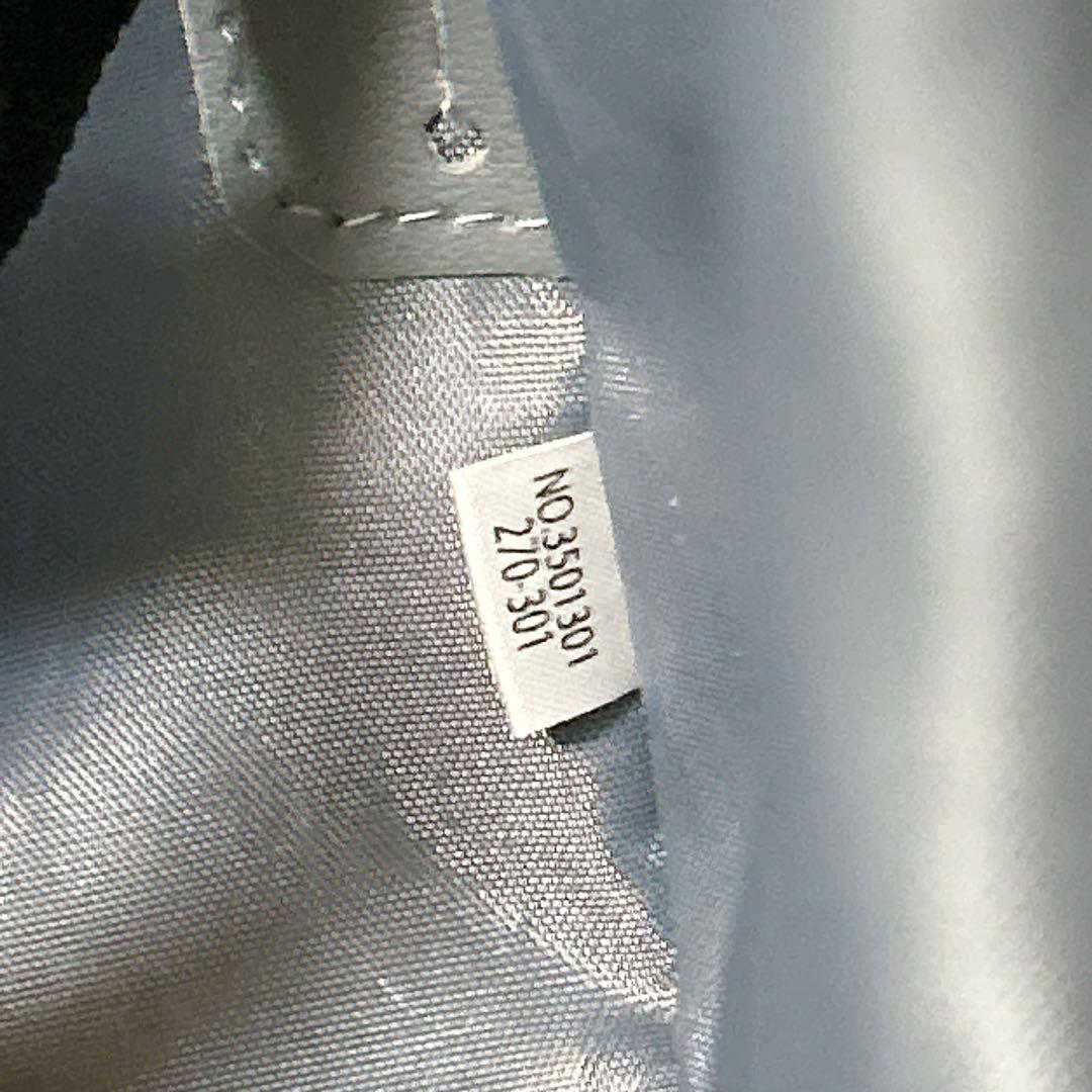 ace. ソリディオナ 17L ソフトキャリー 機内持ち込み可