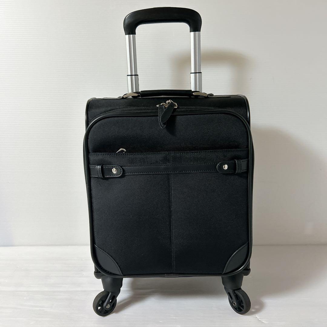 ace. ソリディオナ 17L ソフトキャリー 機内持ち込み可