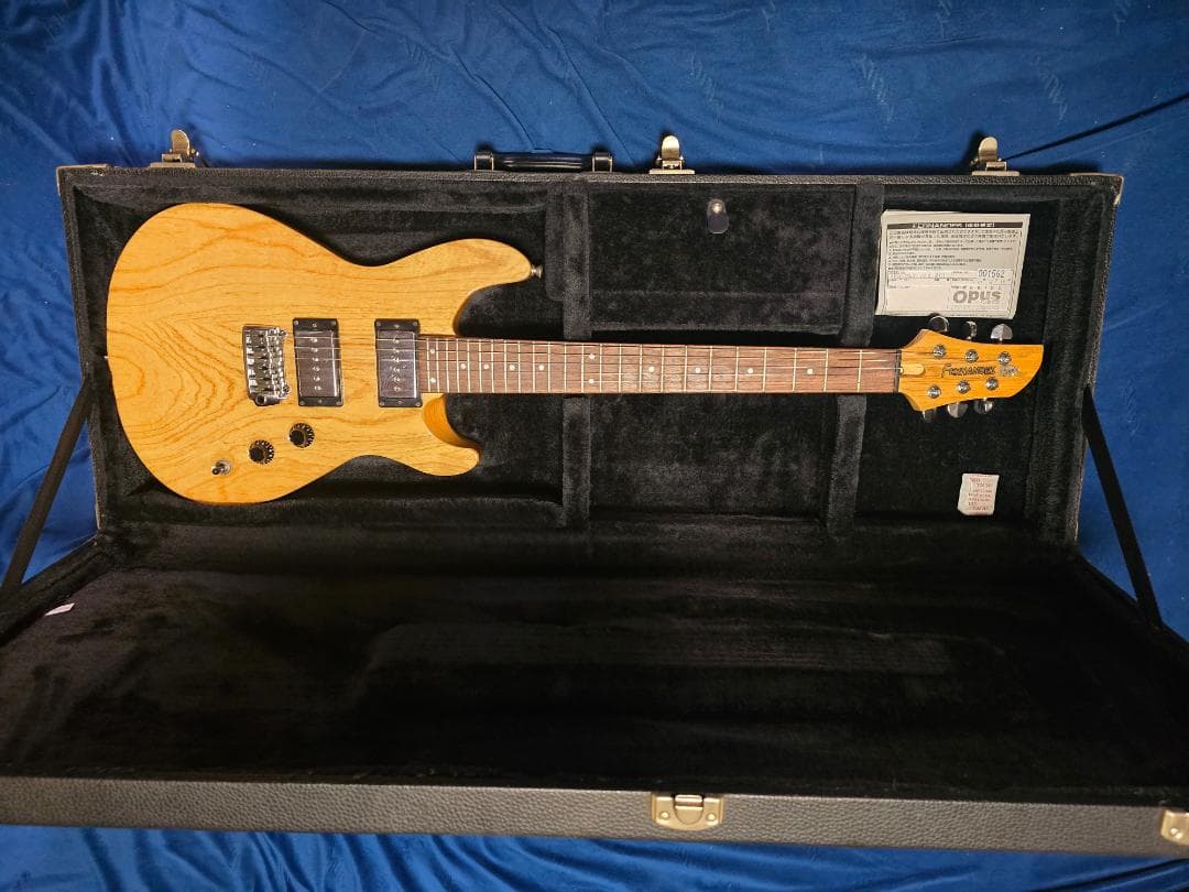 ギター FERNANDES APG-DLX JPC 2011 N