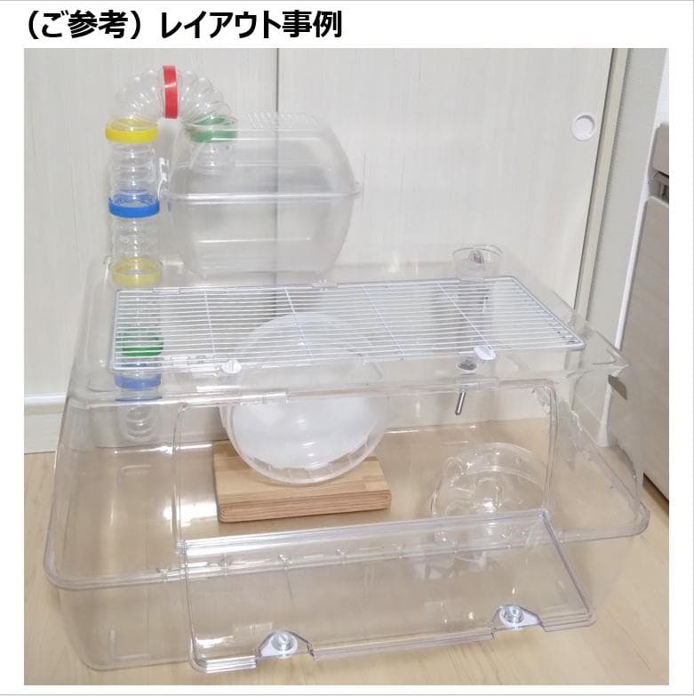 ルーミィ60 ゴールデンハムスター お迎えセット