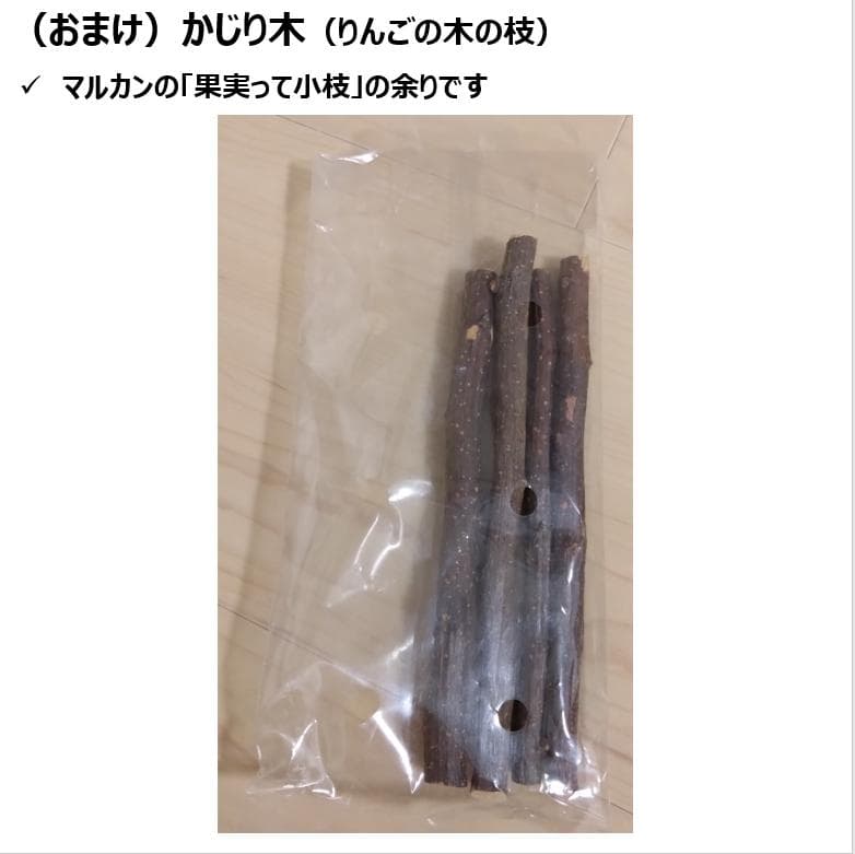 ルーミィ60 ゴールデンハムスター お迎えセット