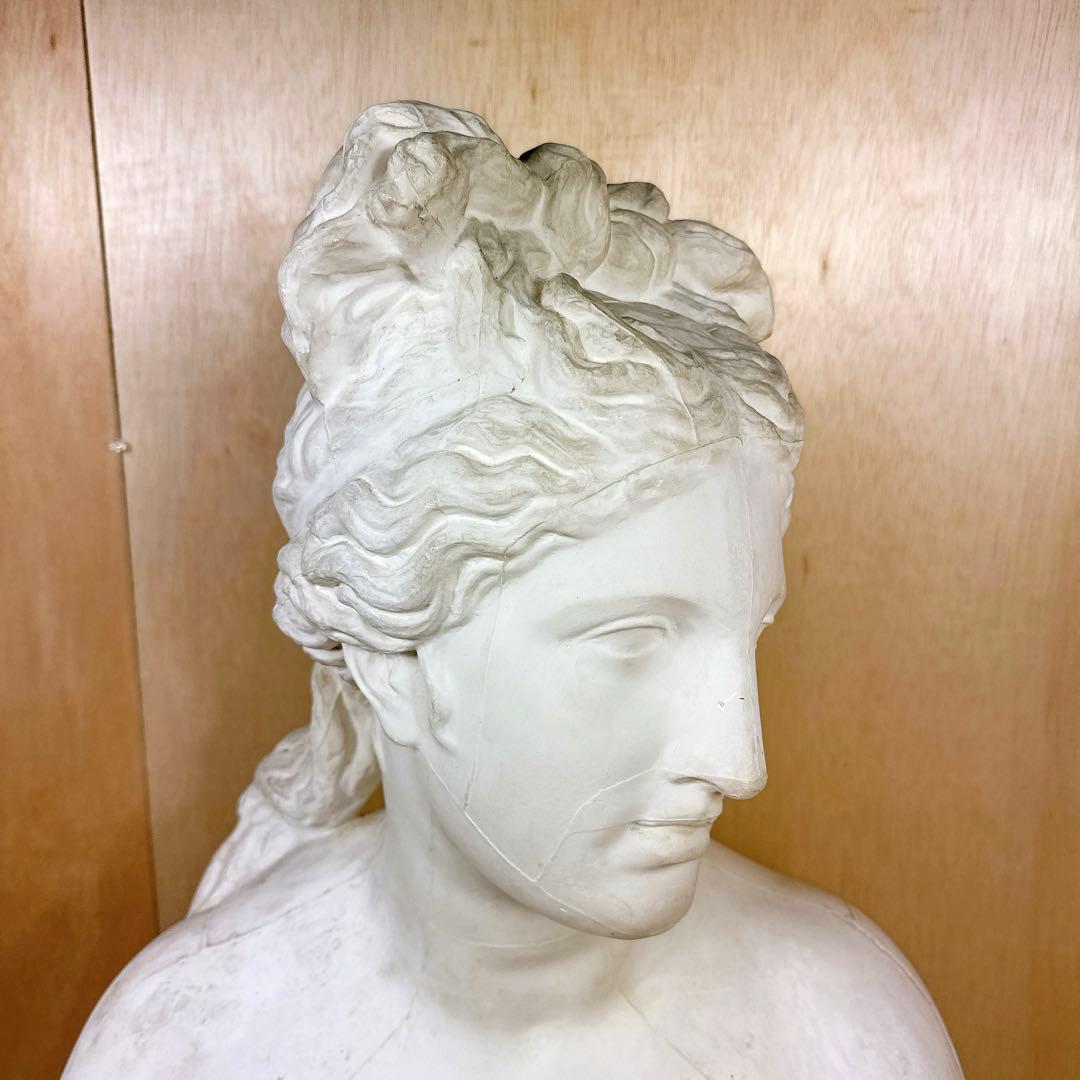 石膏像 カピトリーノ ヴィーナス 胸像 デッサン 美術 恥じらいのヴィーナス