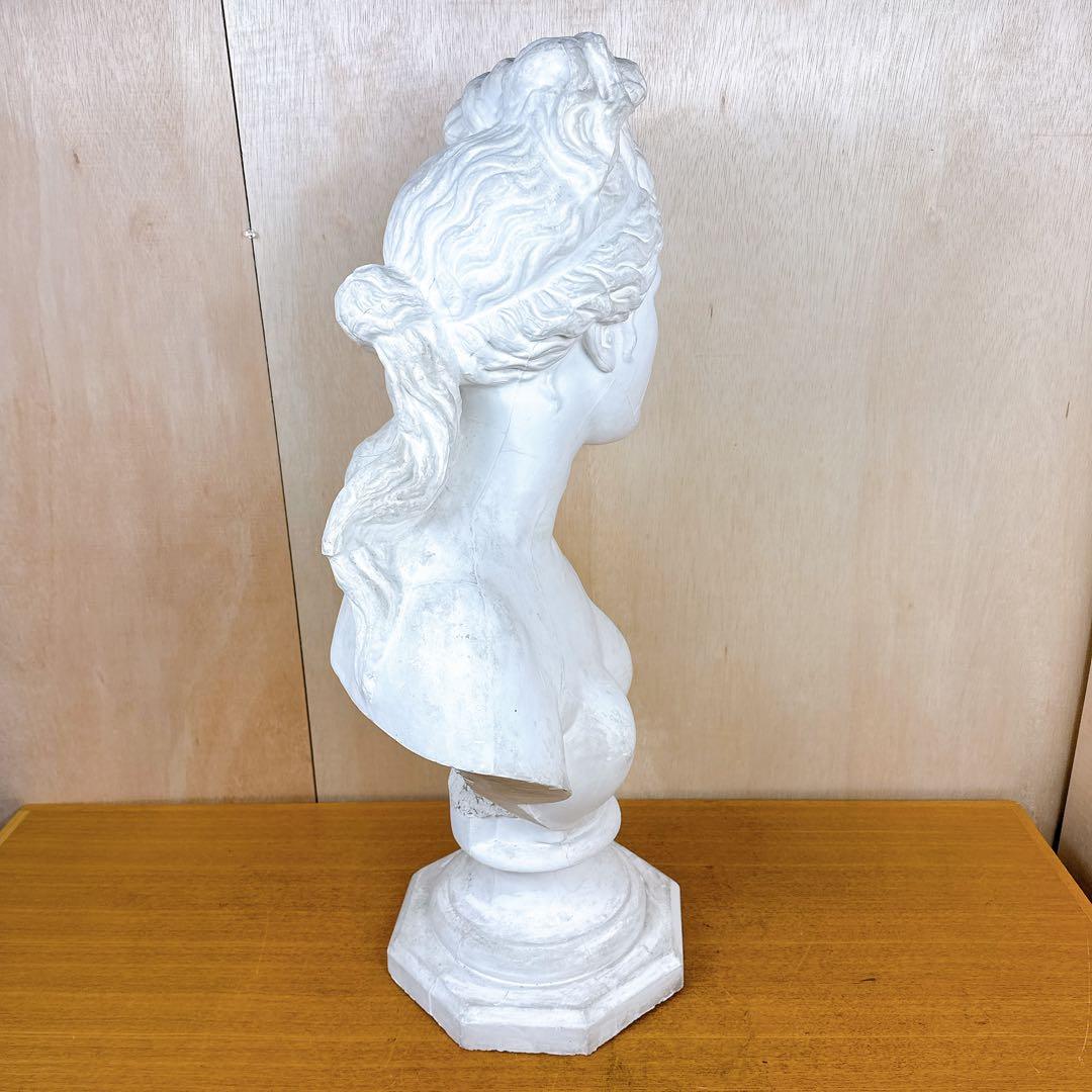 石膏像 カピトリーノ ヴィーナス 胸像 デッサン 美術 恥じらいのヴィーナス